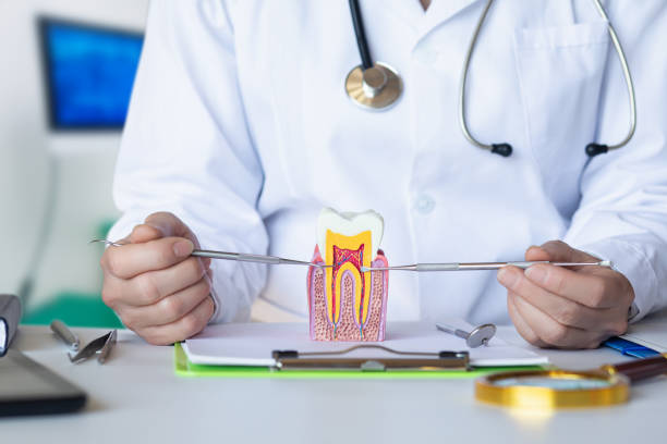 Best Dental Abscess Treatment in Brewton, AL